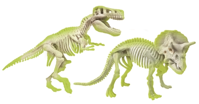 Svítící kostry dinosauřů