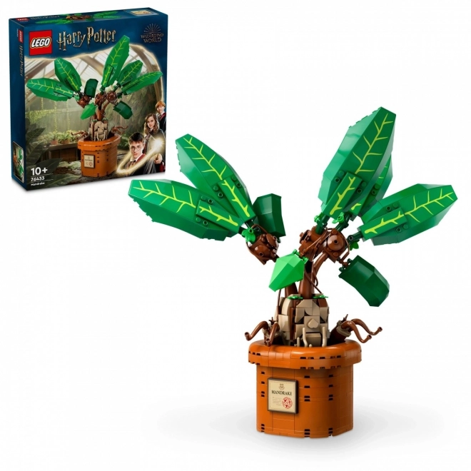 Stavebnice LEGO Harry Potter Mandragora