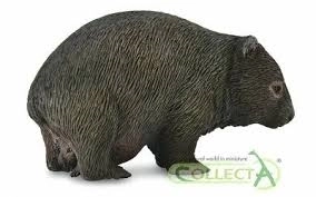 Vombat Medvědovitý Collecta