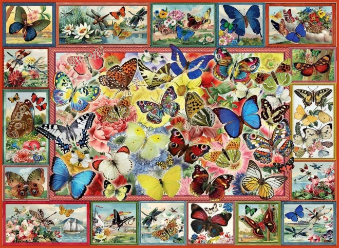 Puzzle Spousta Motýlů 1000 Dílů