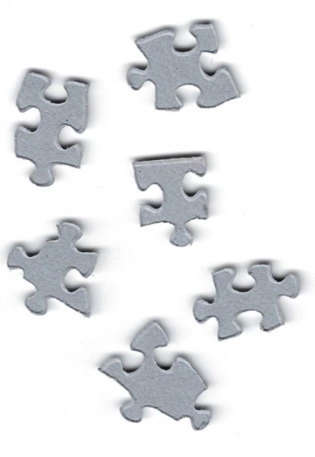 Eurographics Puzzle Láska 60. léta 1000 dílků