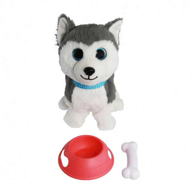 Hafíci II. Maxík - Husky