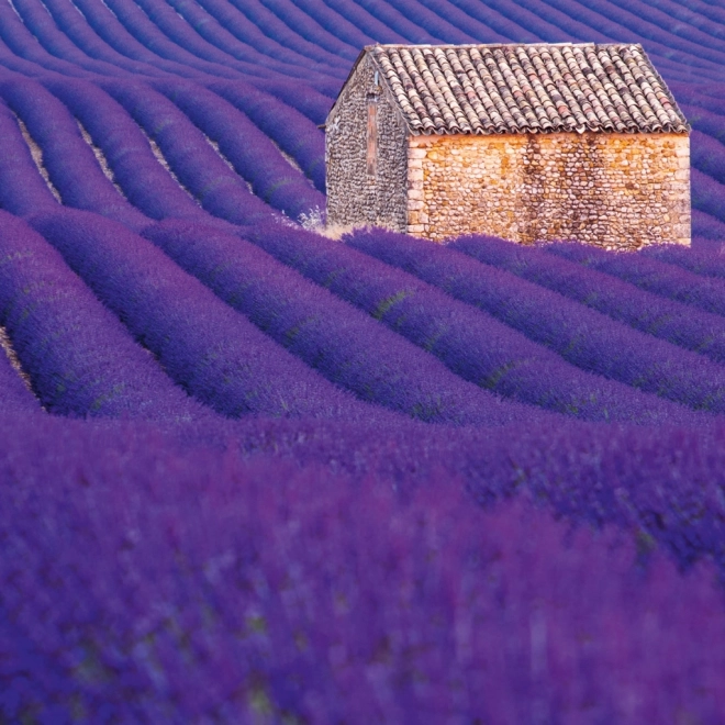 Poznámkový kalendář Provence 2026