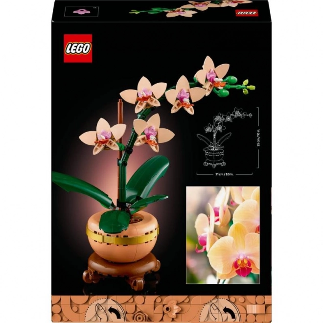 Lego Botanicals Malá Orchidej
