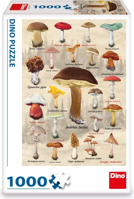 Puzzle houby koláž 1000 dílků