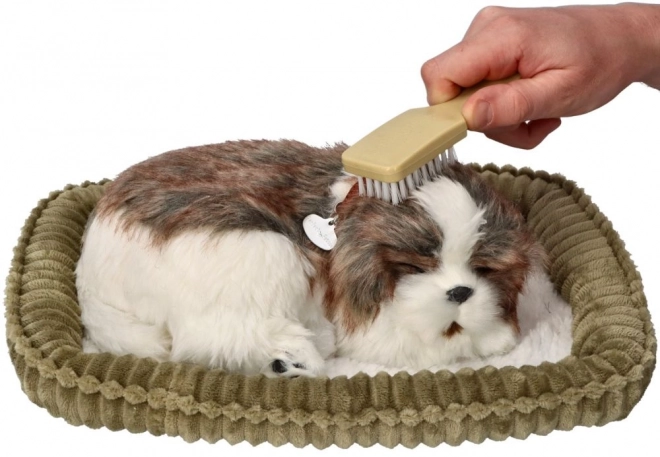 Adoptuj mě dýchající štěně Shih Tzu