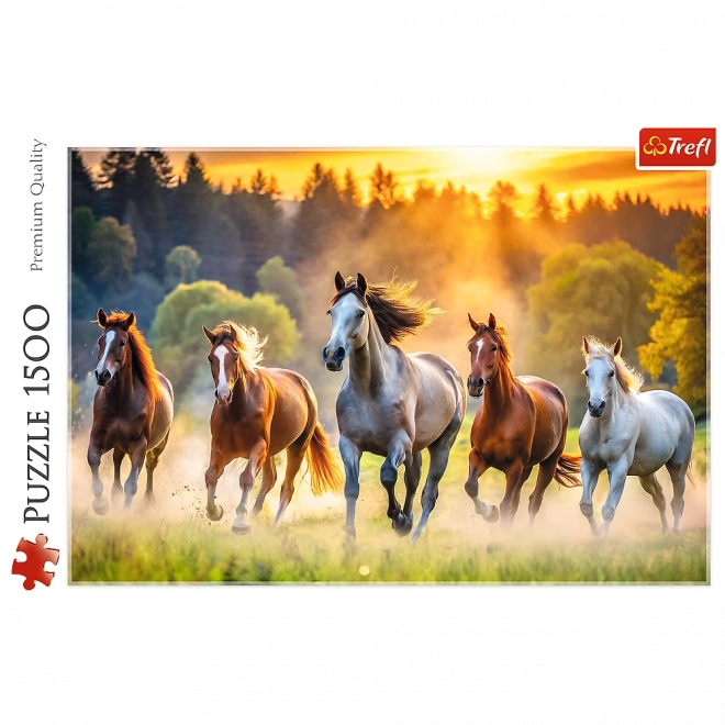 Puzzle Dzikie Koně 1500 Dílků