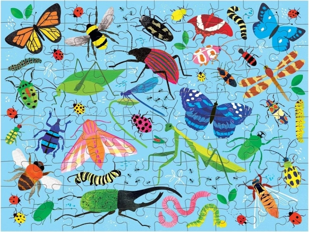 Vzdělávací ilustrace plné detailů