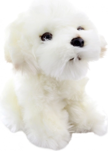 Realistické detaily roztomilého štěňátka