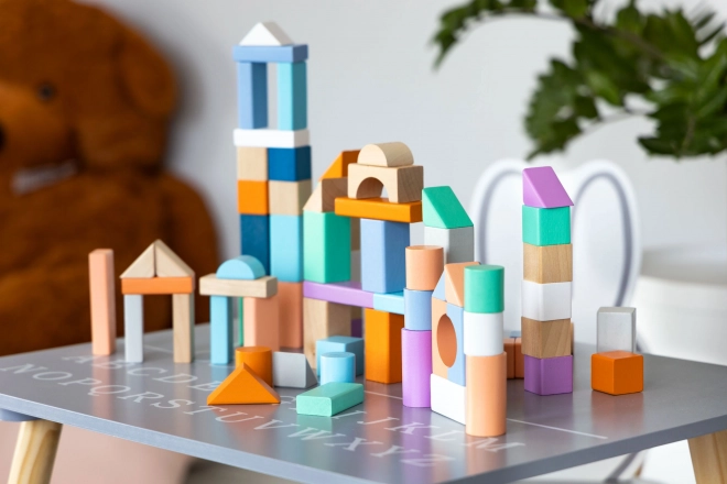 Dřevěné kostky 100 ks ve vědru se sortérem Ecotoys