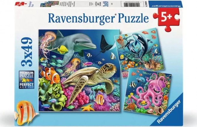 Puzzle Život pod vodou 3x49 dílků