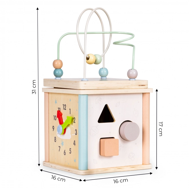 Dřevěné vzdělávací kostky Ecotoys
