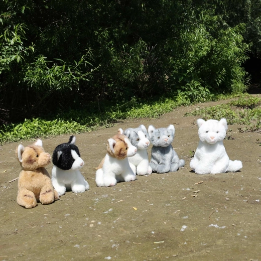 Šest krásných variant pro každého