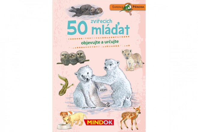 Expedice příroda:50 zvířecích mláďat