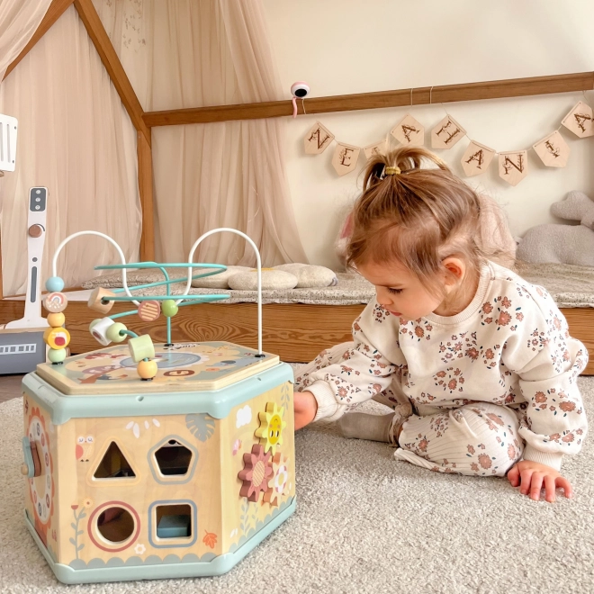 Interaktivní dřevěný šestiúhelník Montessori TOOKY TOY