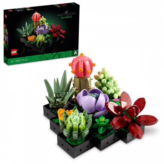 LEGO Botanické ikony 10309 Sukulenty