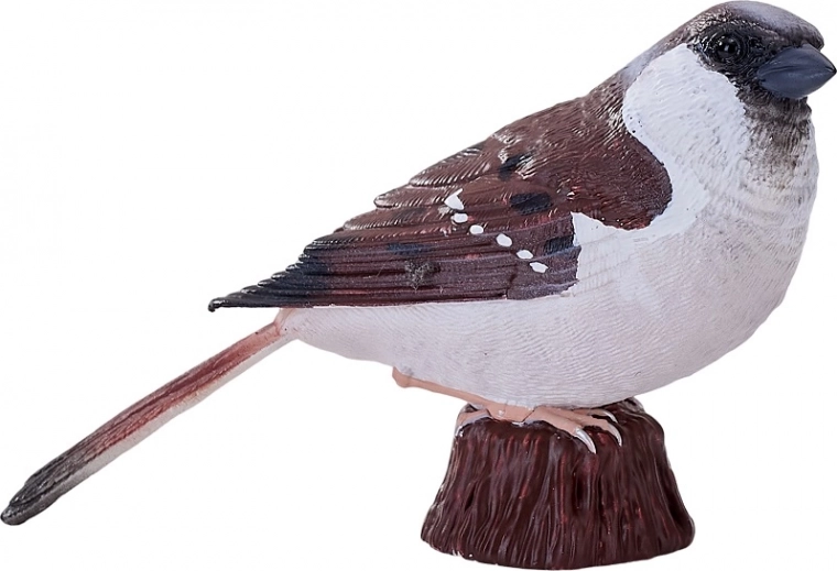 Univerzální využití: hra, vzdělávání, sbírka