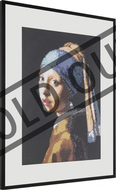 Malování pomocí kamínků Diamond painting 40x50 cm Dívka s pe