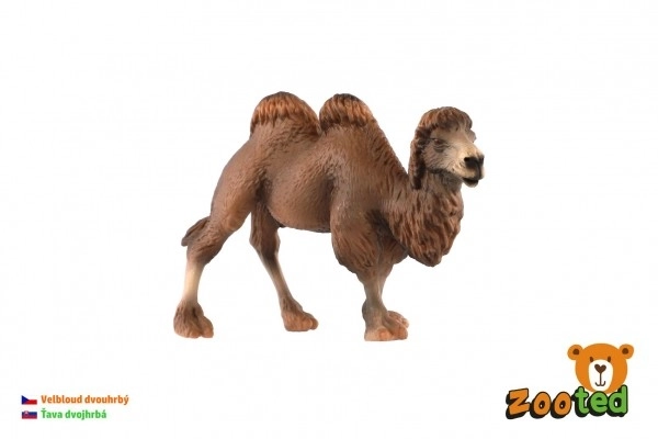 Velbloud dvouhrbý – plastová figurka 12 cm