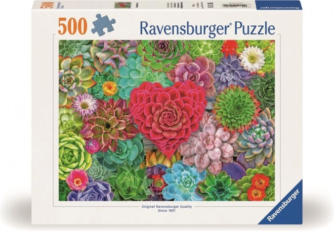 Ravensburger Puzzle Sukulentní ráj 500 dílků