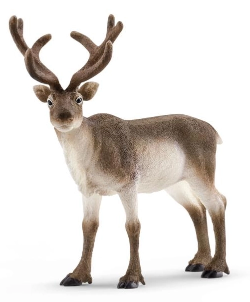 SCHLEICH Wild Life® 14837 Sob