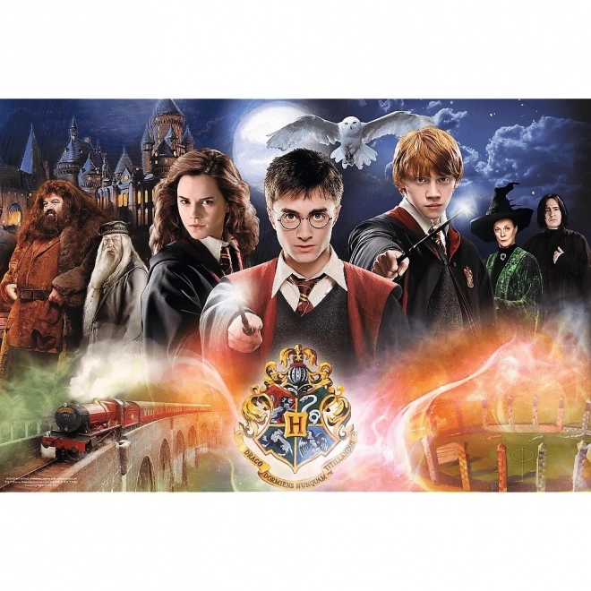Tajemný Harry Potter puzzle 300 dílků