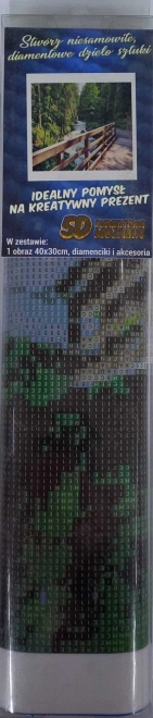 Norimpex diamantové malování dřevěný most v lese 30x40cm