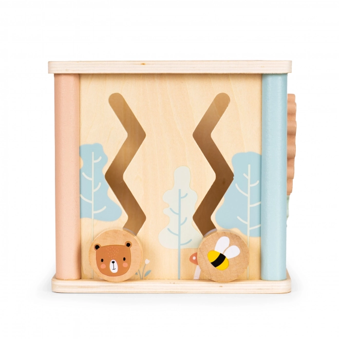 Dřevěné vzdělávací kostky Ecotoys
