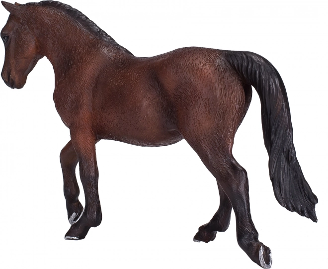 Kůň Morgan Palomino