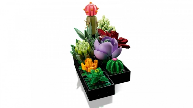 LEGO Botanické ikony 10309 Sukulenty