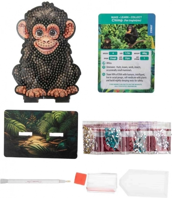 Diamantové malování Jungle: Šimpanz