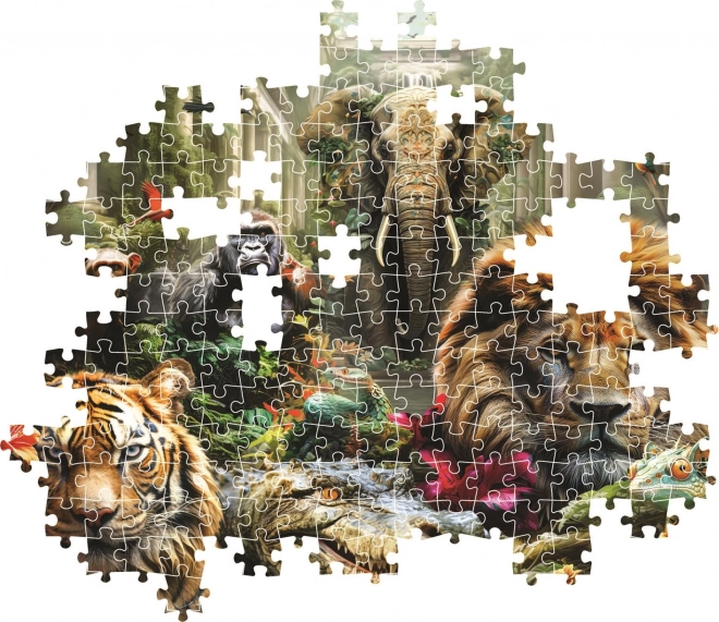 Puzzle 1000 dílků tajuplná džungle