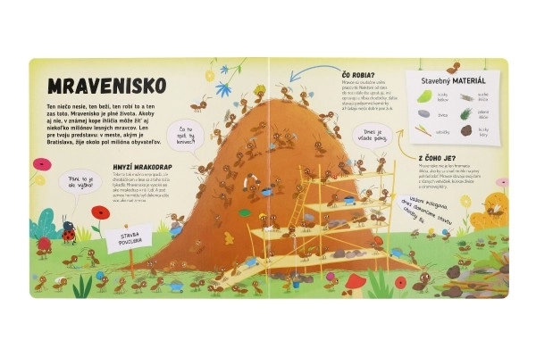 Kniha Čo se děje v mraveništi