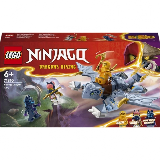 Stavebnice LEGO Ninjago Smoczek Riyu