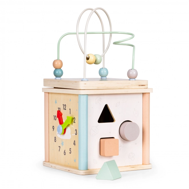 Dřevěné vzdělávací kostky Ecotoys