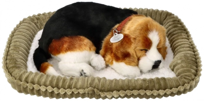 Oddychající štěňátko Beagle Perfect Petzzz