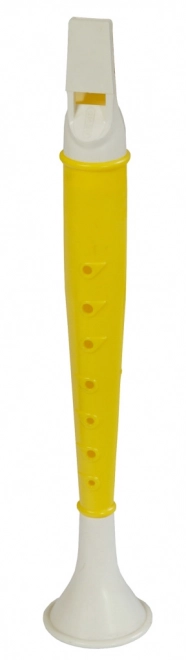 Zobcová flétna pro děti