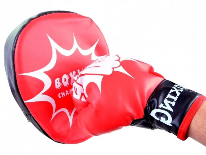 Boxerský tréninkový set