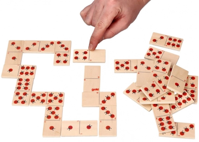 Berušky domino