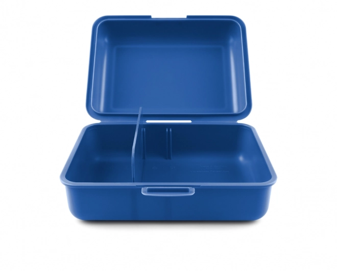 Box na svačinu roboti