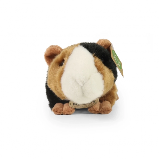 Plyšové morče od Rappa 22 cm ekologické
