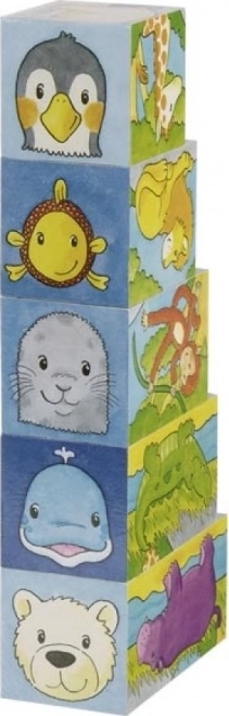Dřevěné kostky Safari a Arktida, 5 kostek