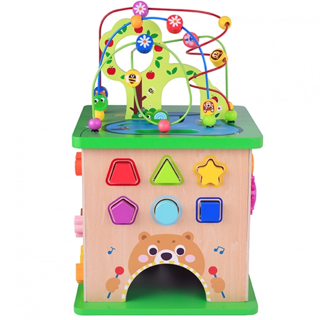 Edukativní kostka Tooky Toy