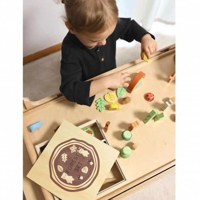 Lesní sada s dřevěnými kostkami Tooky Toy