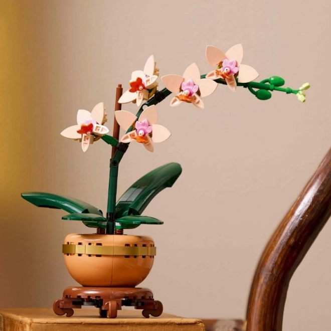 Lego Botanicals Malá Orchidej