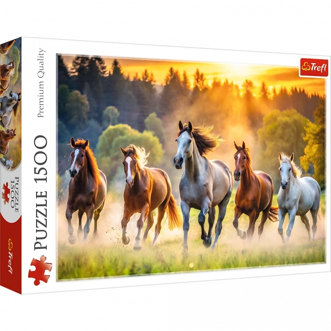 Puzzle Dzikie Koně 1500 Dílků