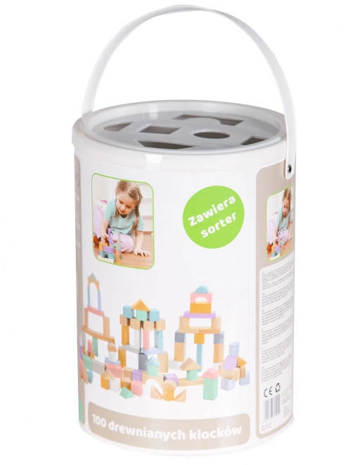 Dřevěné kostky 100 ks ve vědru se sortérem Ecotoys