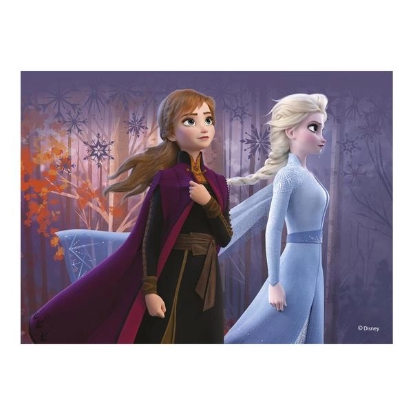 FROZEN II 12 Dřevěné kostky