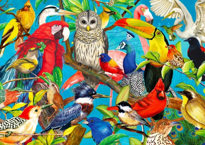 Puzzle Opeřené Šílenství 1000 Dílů