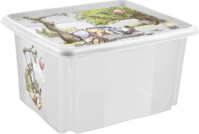 Úložný box s víkem Malý Winnie Transparentní